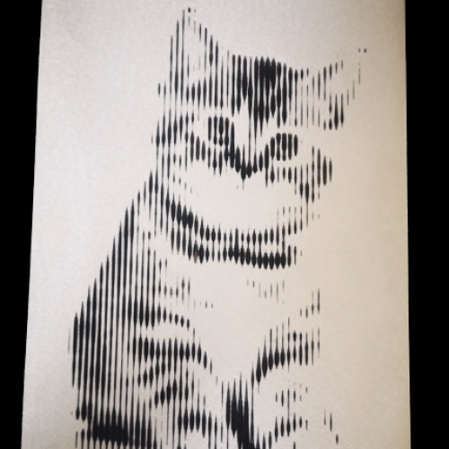 Portrait 'Chaton'