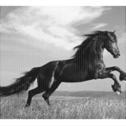 Vente Projet 'Cheval'